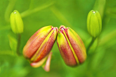 Similar image 2528956