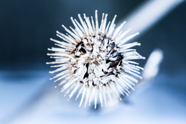 Similar image 2528963