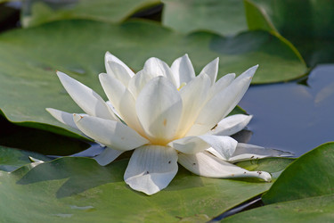 Similar image 2529237