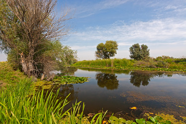 Similar image 2529238