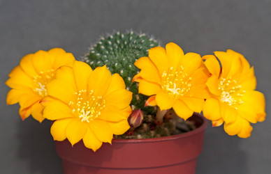 Similar image 2529239