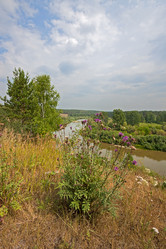 Similar image 2529242