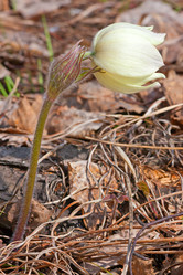 Similar image 2529246