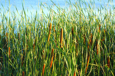 Similar image 2529395