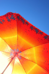 Similar image 2529412