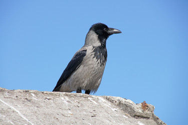 Similar image 2530109