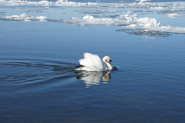 Similar image 2530164