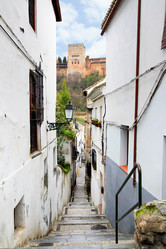 Similar image 2530729