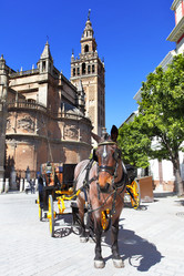 Similar image 2530790