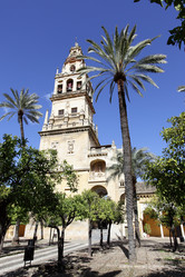 Similar image 2530807