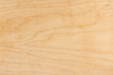 Similar image 2531049