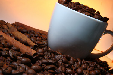 Similar image 2531061