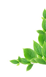 Similar image 2531113