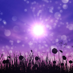 Similar image 2531462