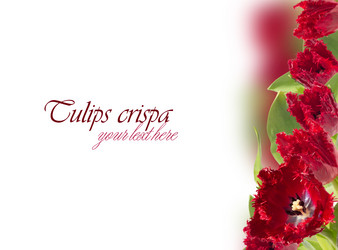 Similar image 2531608