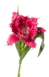 Similar image 2531609