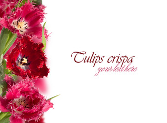 Similar image 2531615