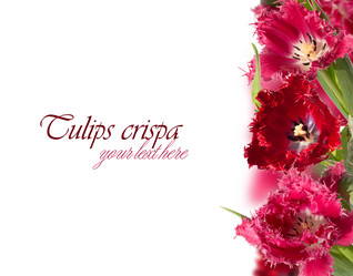 Similar image 2531616