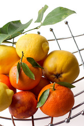 Similar image 2531625