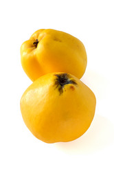 Similar image 2531629