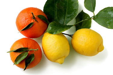 Similar image 2531631