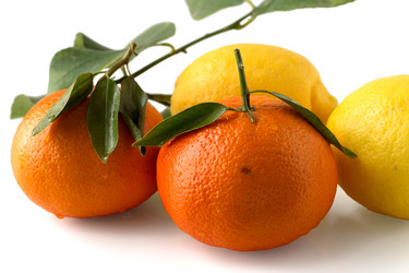 Similar image 2531632