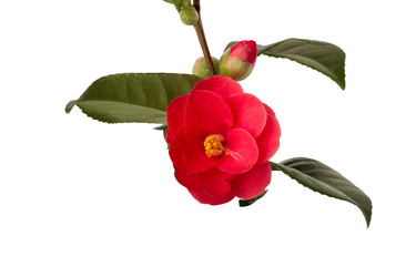 Similar image 2531684