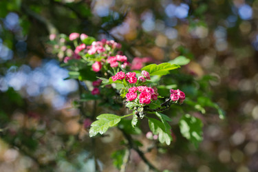 Similar image 2531687