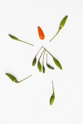 Similar image 2531691