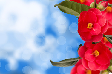 Similar image 2531701