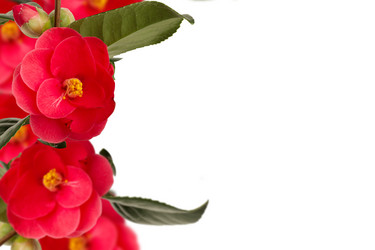 Similar image 2531702