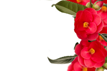 Similar image 2531703