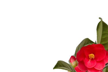 Similar image 2531706