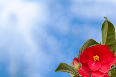 Similar image 2531708