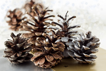 Similar image 2531778