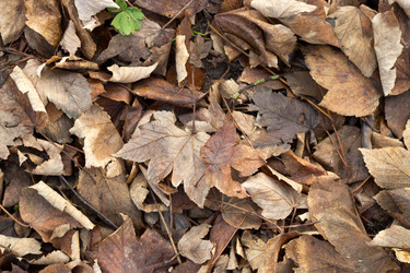 Similar image 2531788