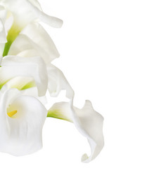 Similar image 2532400