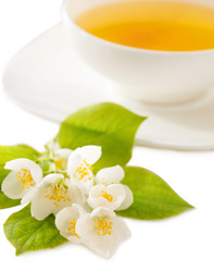 Similar image 2532474