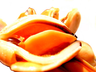 Similar image 2532494