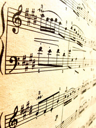 Similar image 2532579