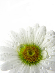 Similar image 2532589