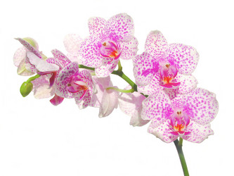 Similar image 2532681