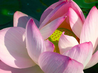 Similar image 2532748