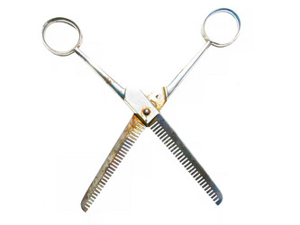 Similar image 2532908