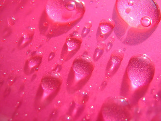 Similar image 2532916