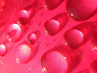 Similar image 2532919