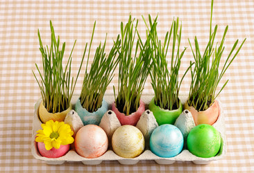 Similar image 2533303