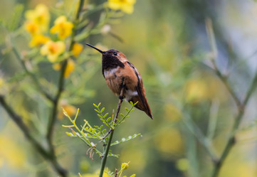 Similar image 2533366