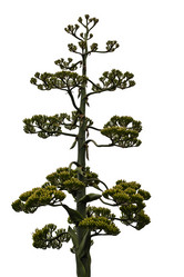 Similar image 2533367