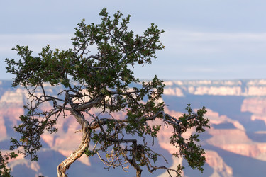 Similar image 2533687